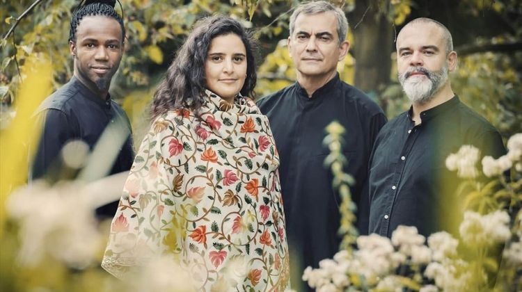 Errobiko Festibala est une œuvre collective en constante évolution